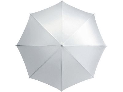 Зонт-трость Karl
